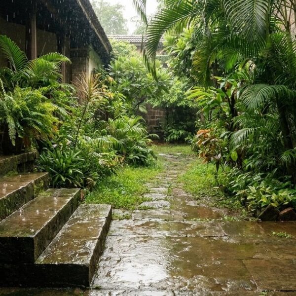 Rain on stone steps in a verdant Indian courtyard symbolizes patience in angel investing.
