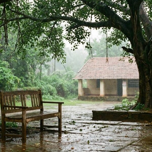 A rain-soaked rural village setting with a lone bench, echoing Eklavya and TeachToEarn's educational themes.