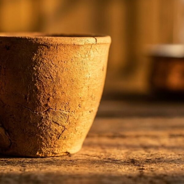 Close-up of a vintage earthen tea cup symbolizing the importance of 'why' in sales conversations.