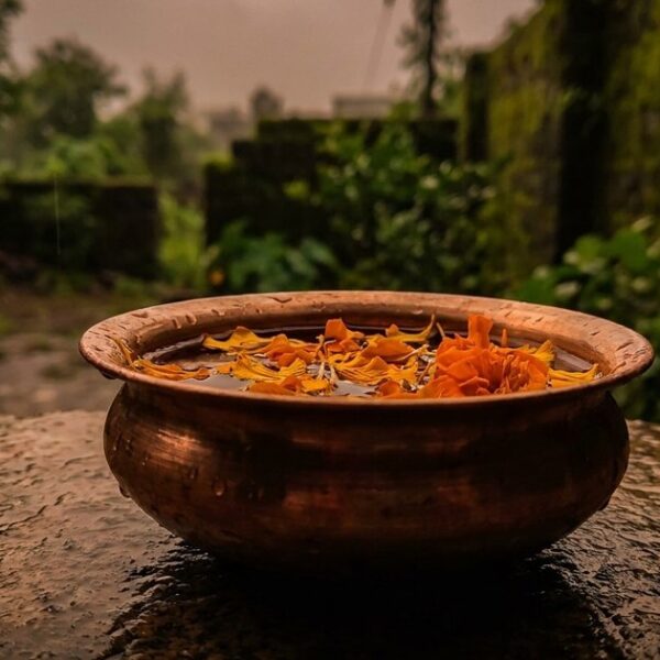 Close-up of a kalash with marigold petals on a stone surface, symbolizing the approach to job search in India.