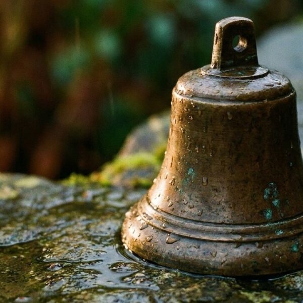 Close-up of a vintage school bell on wet stone, representing the themes of education in the article 'School Is Not Education'.