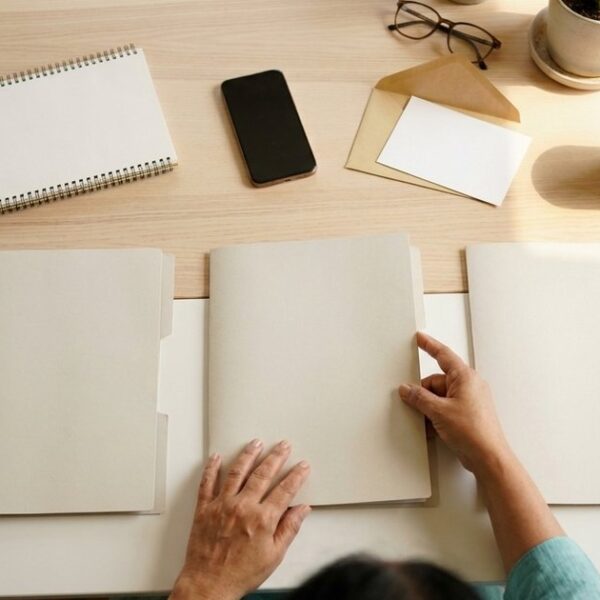 Overhead view of an Indian investor organising a 90-day investment plan on a bright wooden table