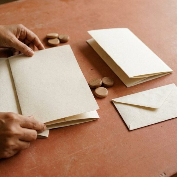Indian angel investor’s hands organize startup investment materials and separate savings on a table.